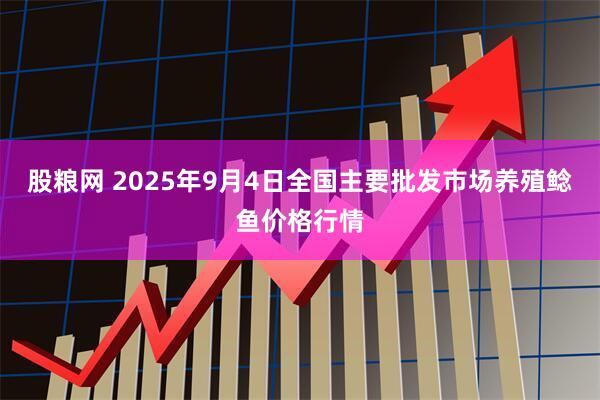 股粮网 2025年9月4日全国主要批发市场养殖鲶鱼价格行情