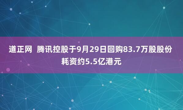 道正网  腾讯控股于9月29日回购83.7万股股份 耗资约5.5亿港元