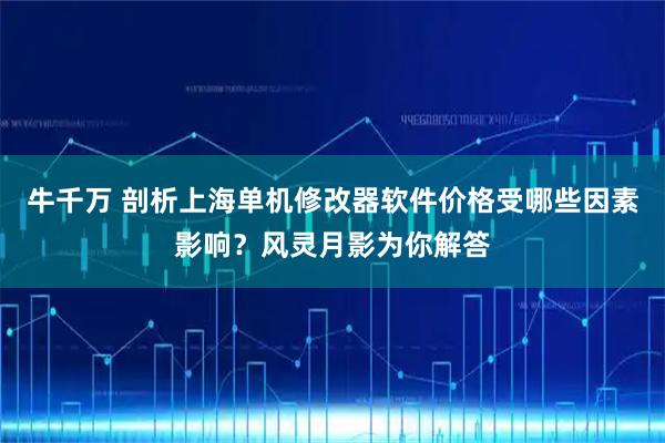 牛千万 剖析上海单机修改器软件价格受哪些因素影响？风灵月影为你解答