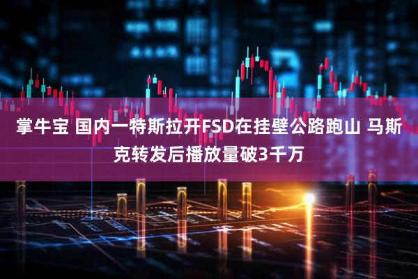 掌牛宝 国内一特斯拉开FSD在挂壁公路跑山 马斯克转发后播放量破3千万